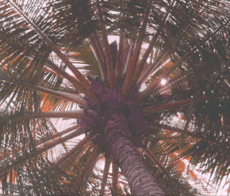 Screen Shot 2014-09-04 at 11.45.49 PM