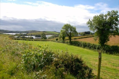 thumb_6576_1123711826163_1628151861_303946_3170600_n_1024