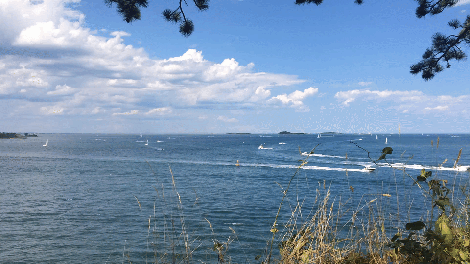 ezgif.com-video-to-gif