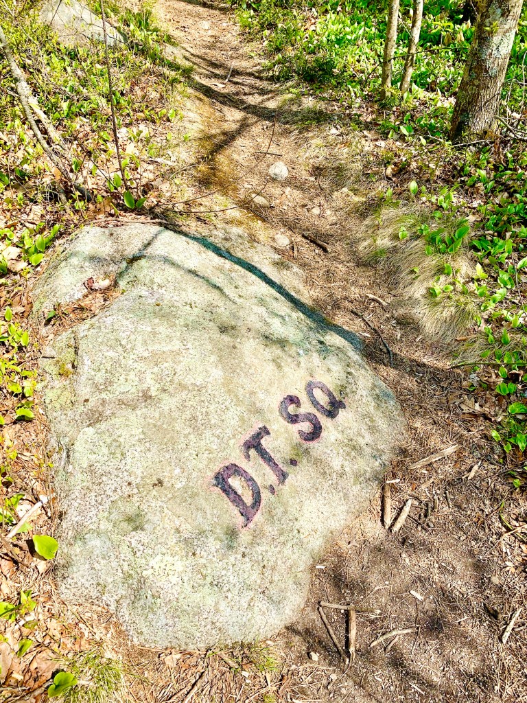 D.T SQ, othewise known as Dogtown Square