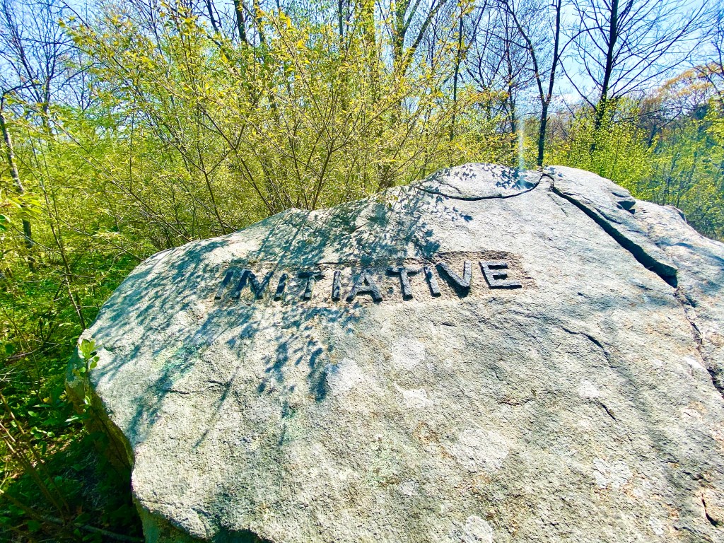 Initiative