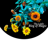 The Little Blog of Magic Logo