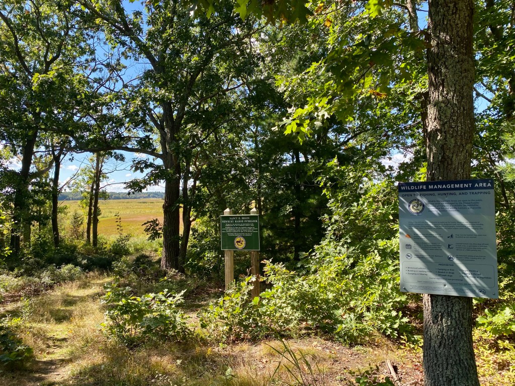 Nancy E. Begin Newbury Salt Marsh Overlook views in summer
