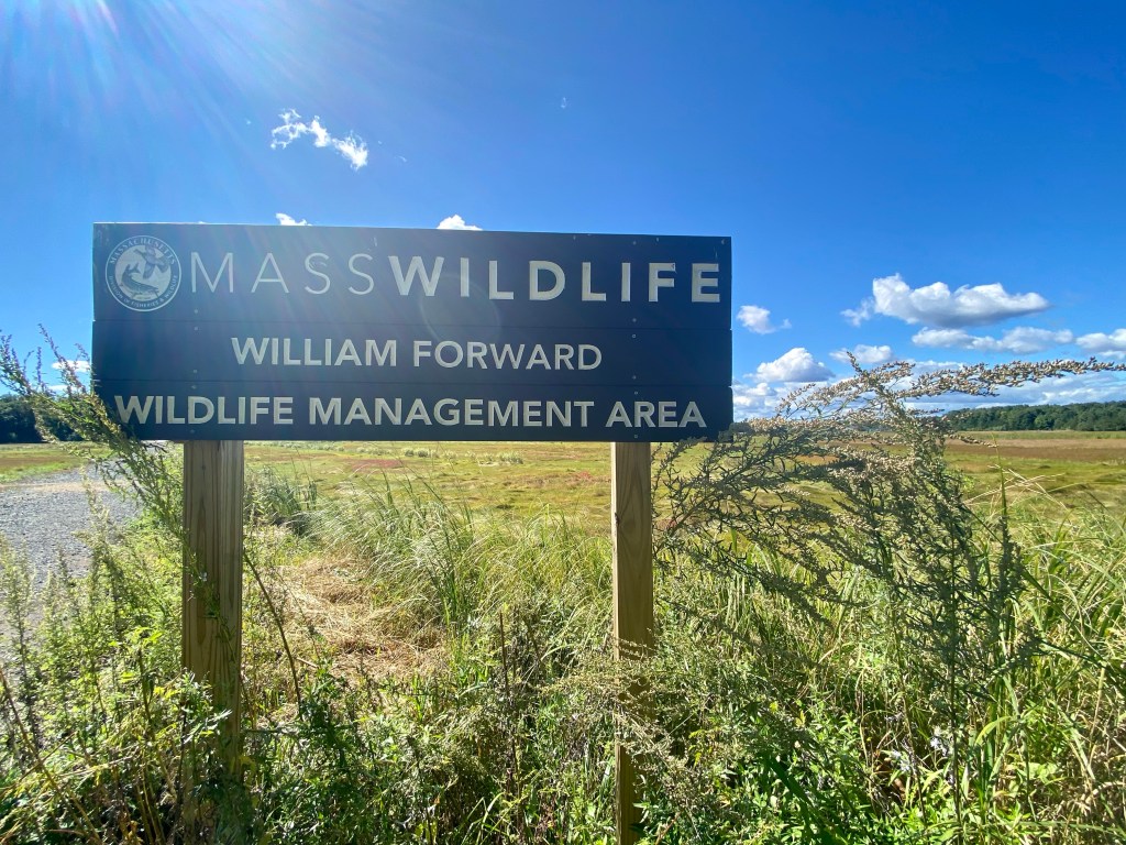MassWildlife William Forward Wildlife Management Area signage in summer