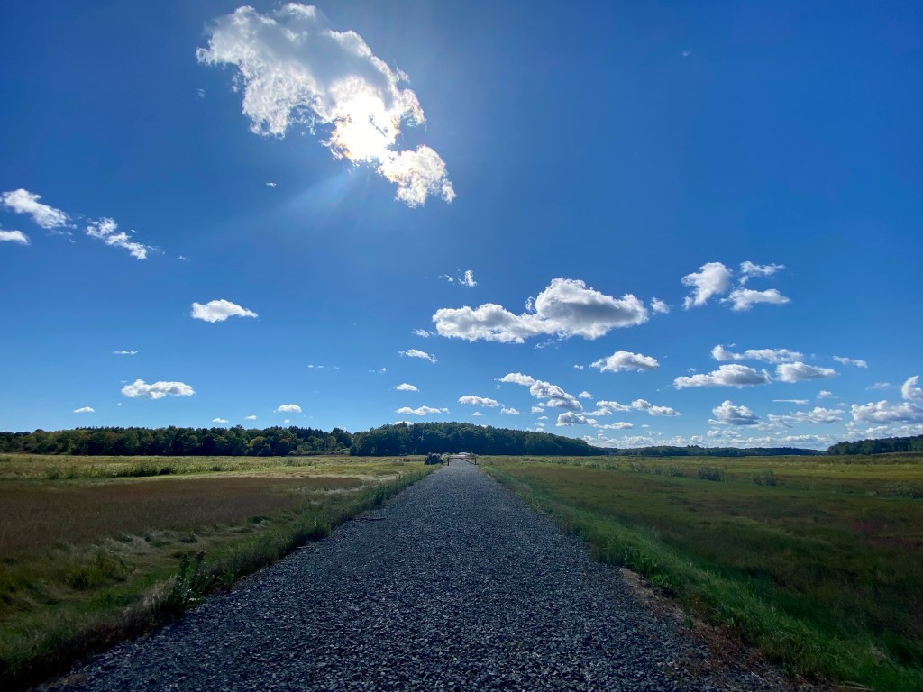 Trail and overview of marsh in summer