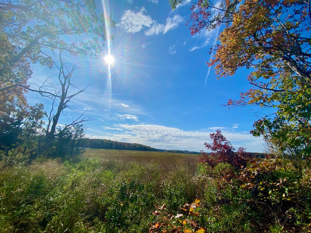 Views of the Nancy E. Begin Newbury Salt Marsh Overlook in autium