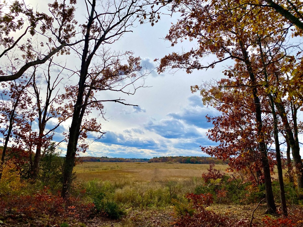 Nancy E. Begin Newbury Salt Marsh Overlook views in autumn