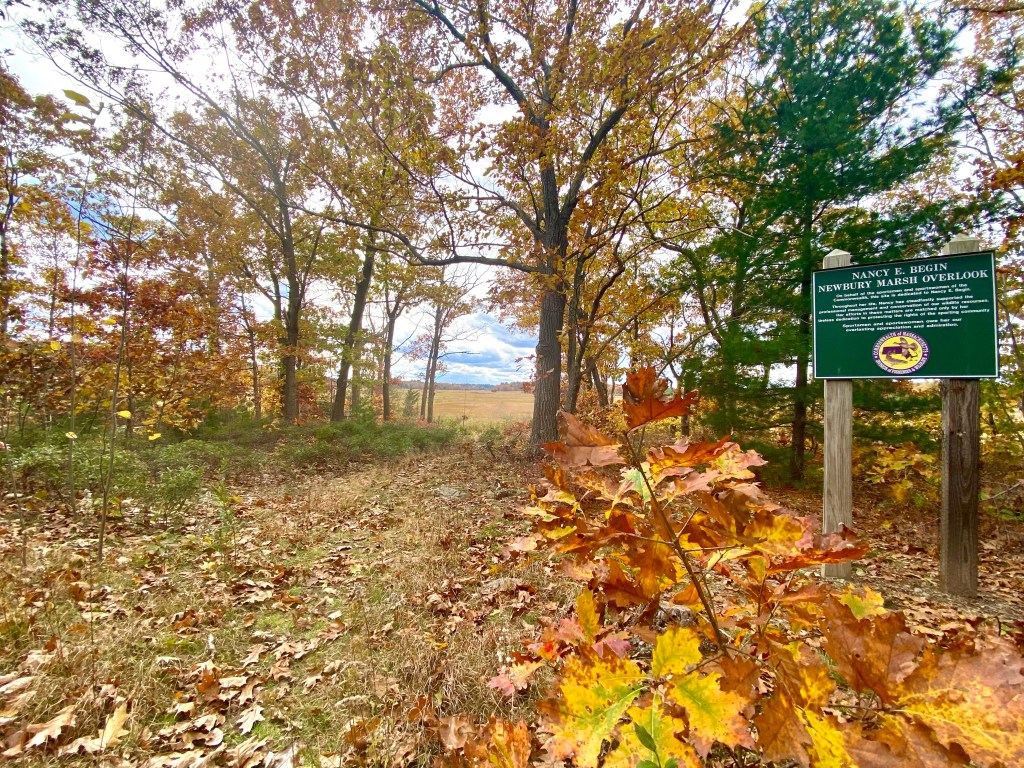 Nancy E. Begin Newbury Salt Marsh Overlook signage and views in autumn