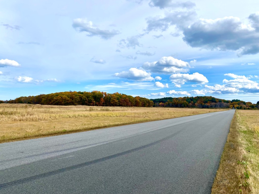 Road in autumn