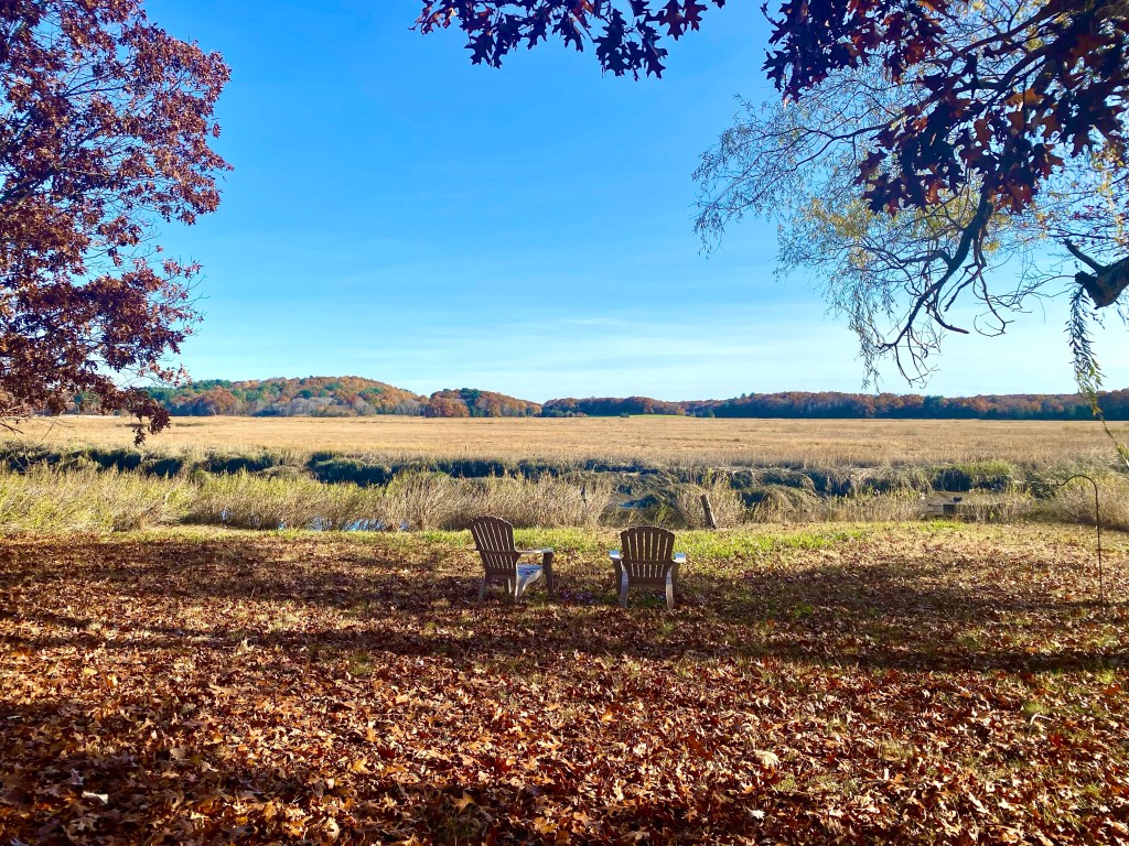 Scenic view with two seats in autumn