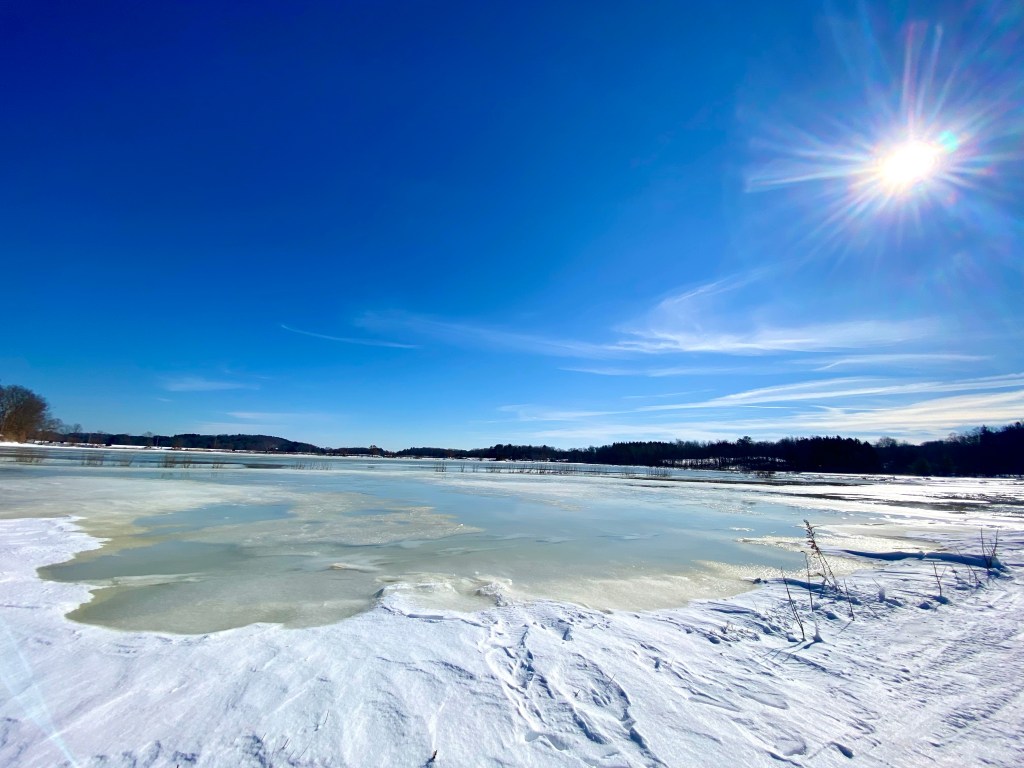 Salt marsh in winter