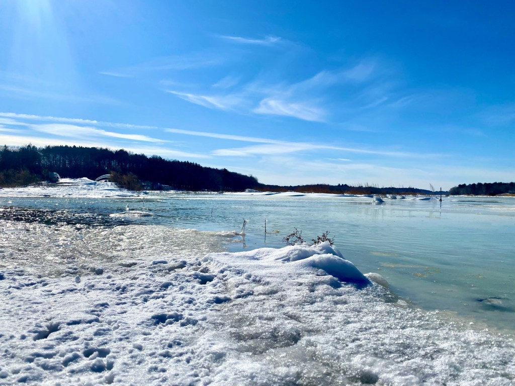 Salt marsh bridge in winter