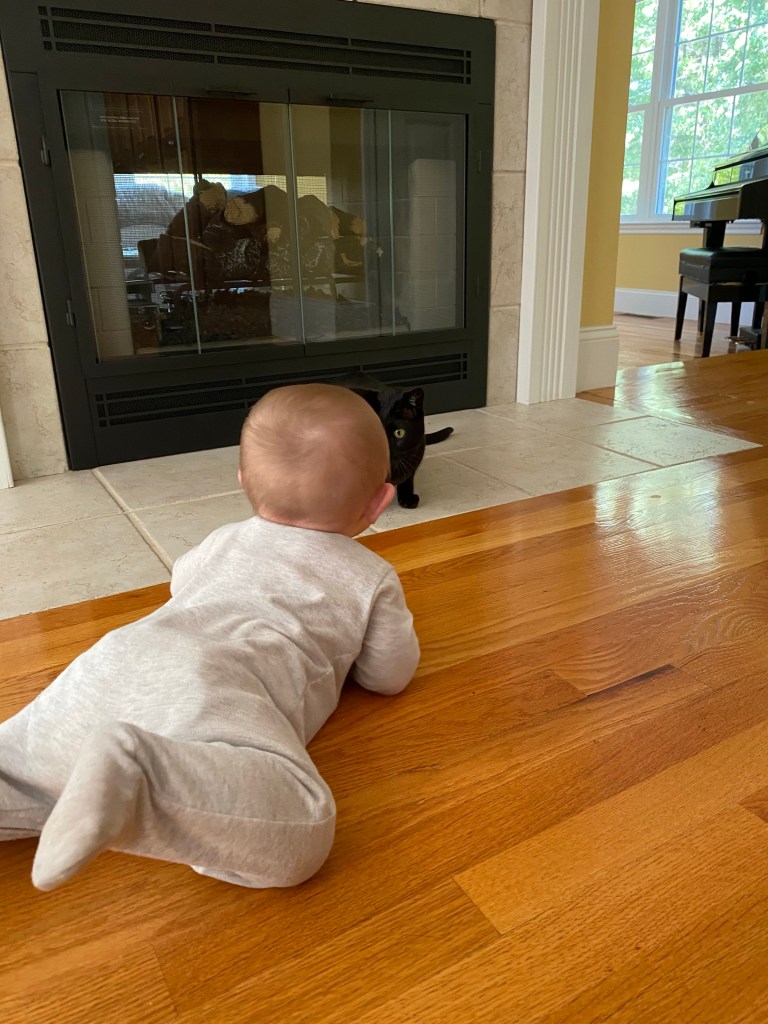 Baby facing a cat